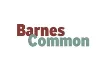 Barnes Common Limited