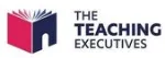 The Teaching Executives Ltd
