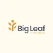 Big Leaf Foundation