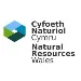 Natural Resources Wales