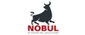 NOBUL RESOURCING SOLUTIONS LIMITED