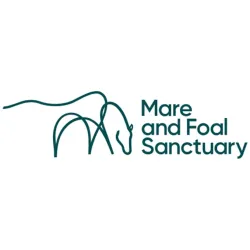 The Mare and Foal Sanctuary